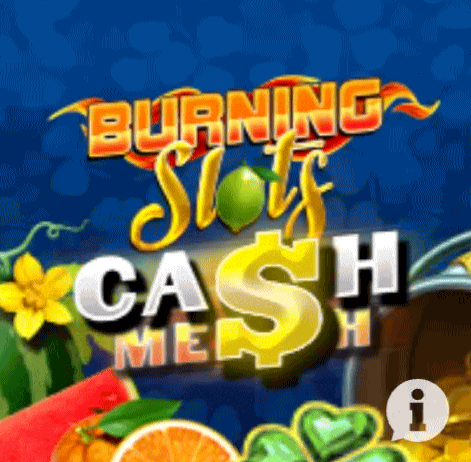 Play Burning Slots in Wagerland Casino